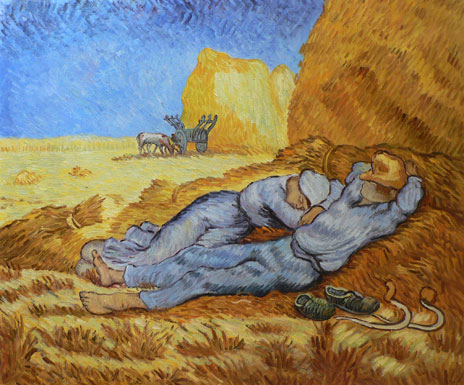 Afternoon Siesta